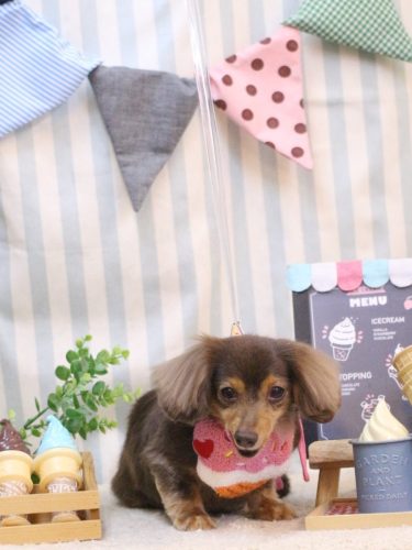 20250513ココちゃん